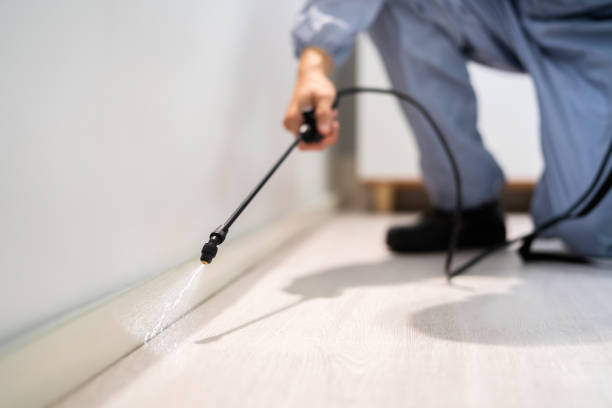 Licensed Pest Control service in West Mountain, UT - Show Me Pest Control